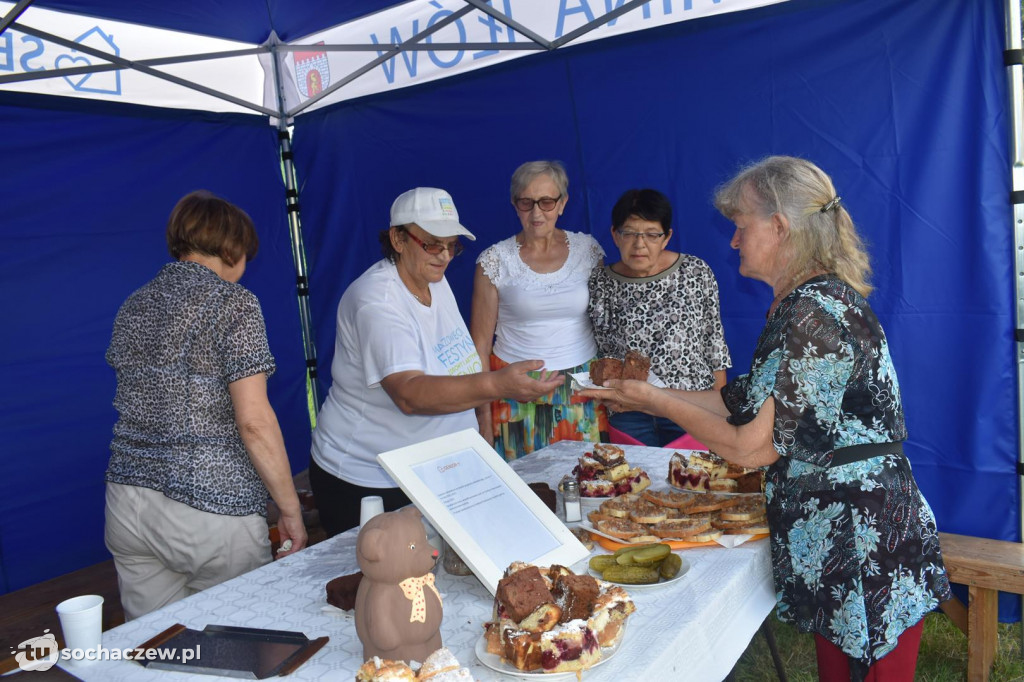 Płynie Wisła płynie w Suchodole