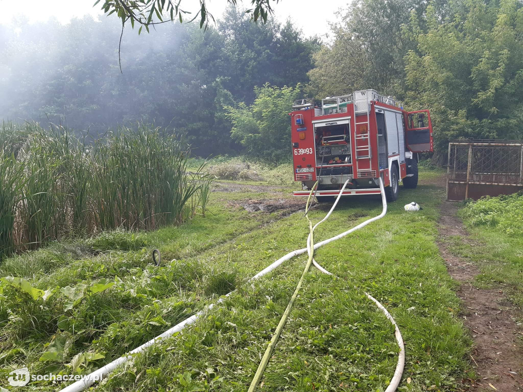 Pożar obory w Mokasie, zwierzęta uratowane