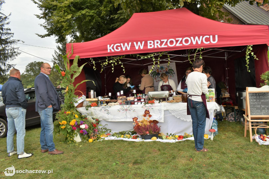 Dożynki gminy Iłów 2022