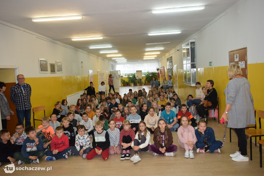 Zagraj w baseball na orliku w Młodzieszynie