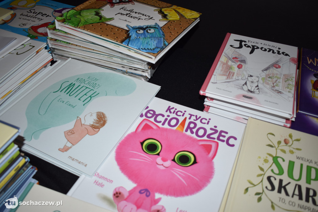 Konferencja Biblioteki Pedagogicznej w Sochaczewie