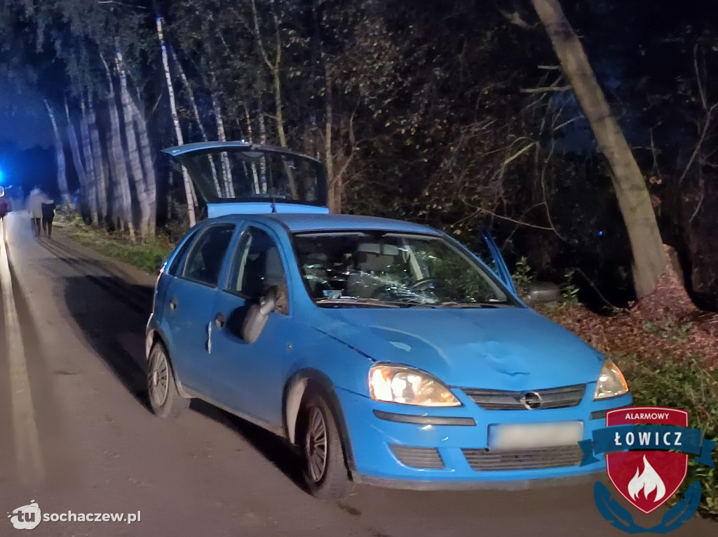 Wypadek pod Łowiczem