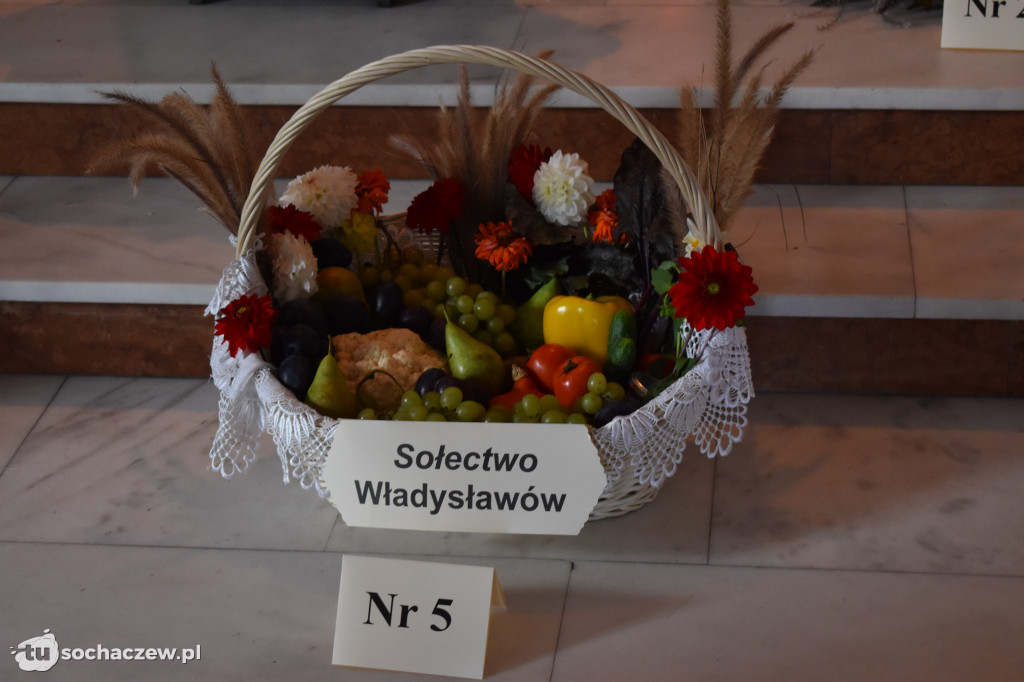 Dożynki gminy Sochaczew Żdżarów 2022
