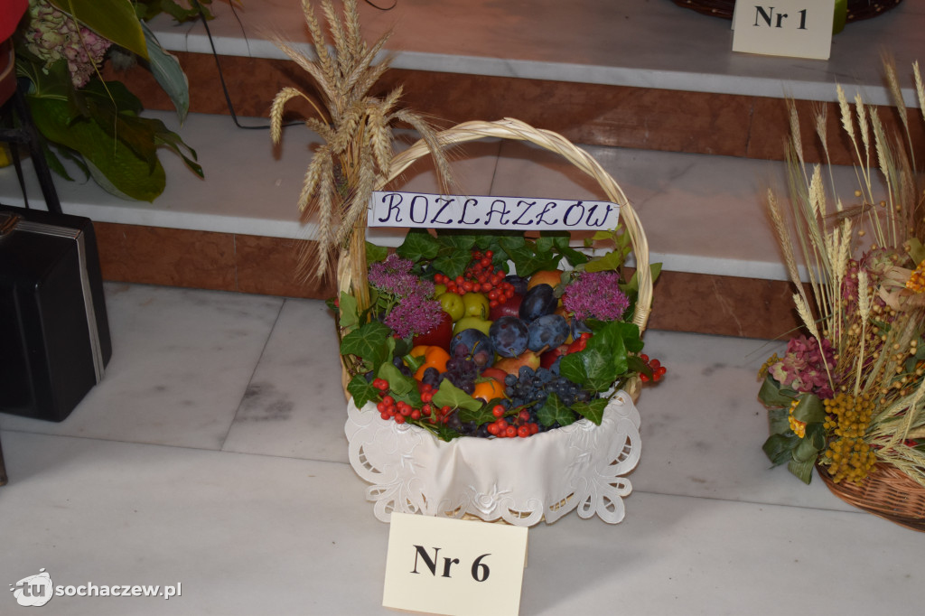 Dożynki gminy Sochaczew Żdżarów 2022