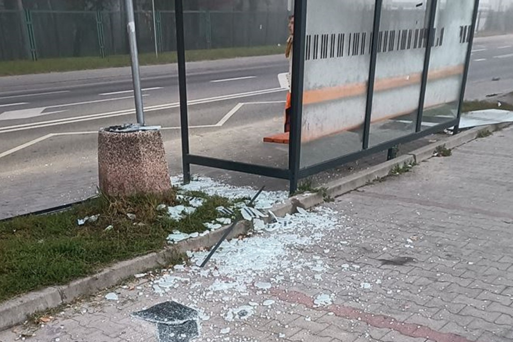 Przystankowi wandale poszukiwani