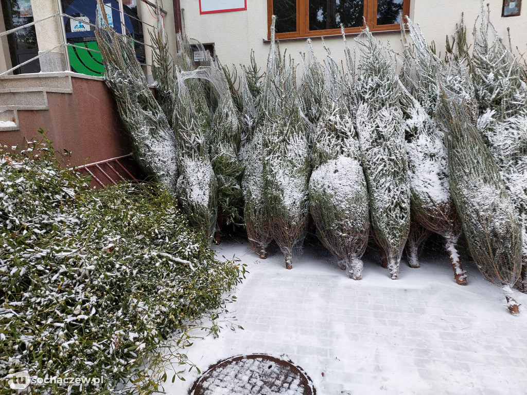 Święty Mikołaj w gminie Rybno