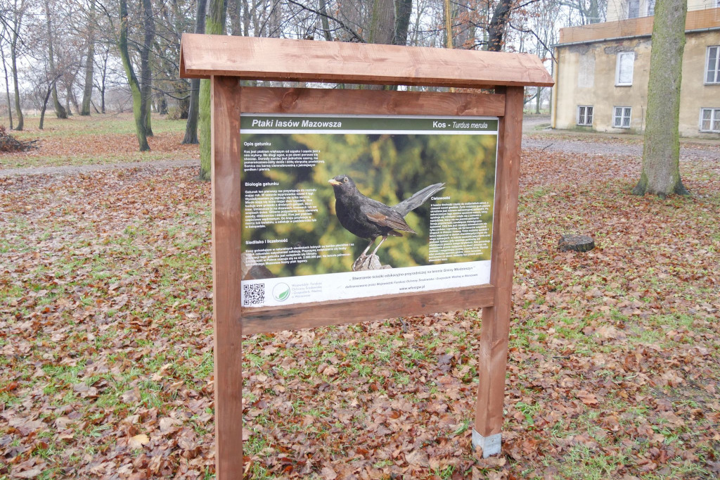 Ścieżka edukacyjna i nowe nasadzenia w parku w Młodzieszynie