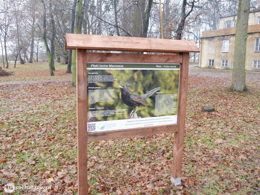 Ścieżka edukacyjna i nowe nasadzenia w parku w Młodzieszynie