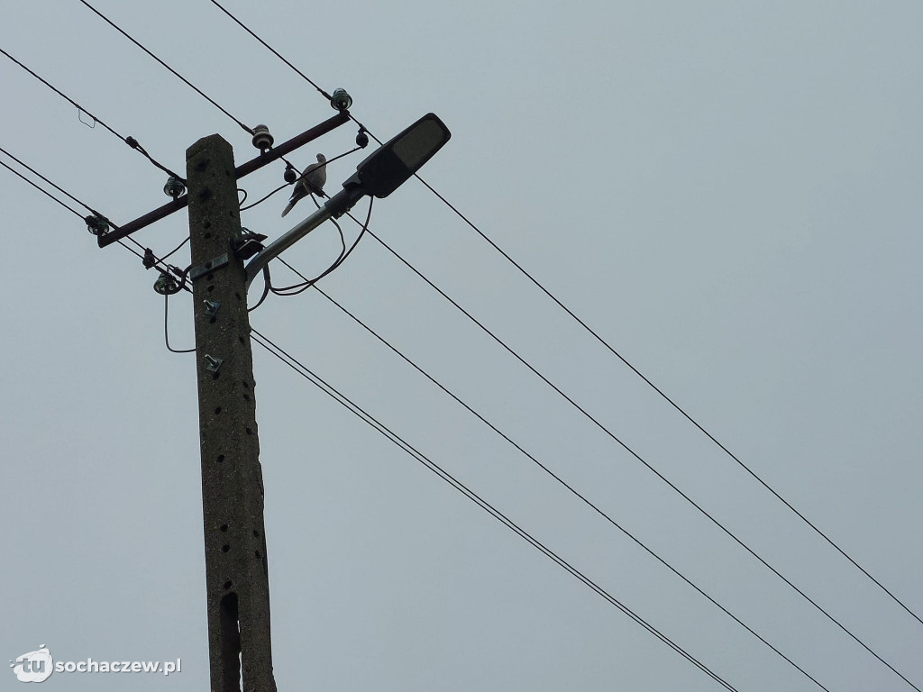 Rybno: nowe energooszczędnych oświetlenie w Wesołej