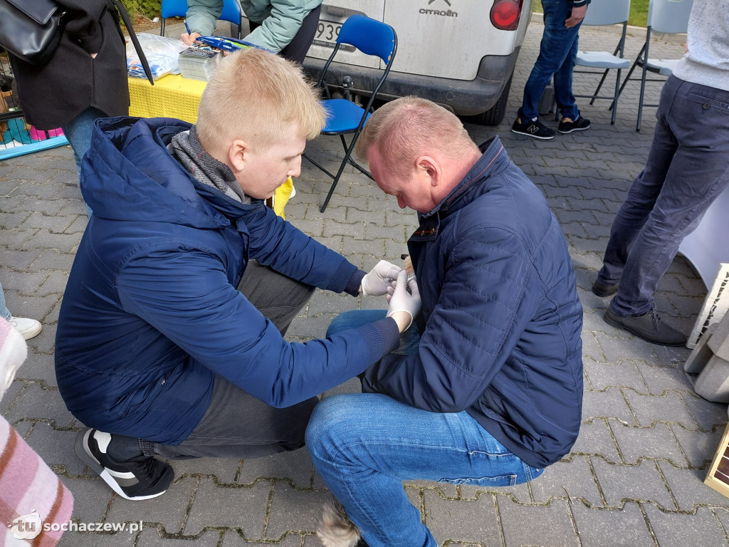 W Rybnie zapachniało wiosną