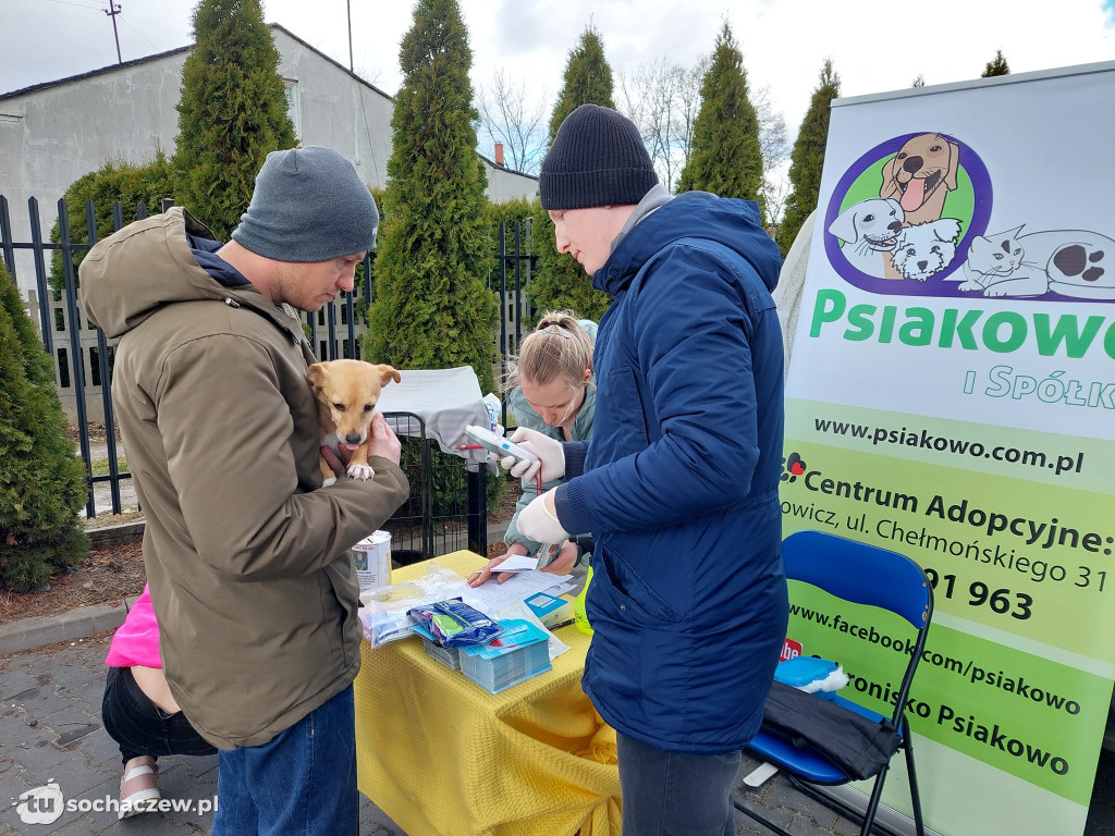 W Rybnie zapachniało wiosną