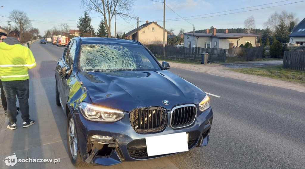 Zderzenie z łosiem w Komorowie