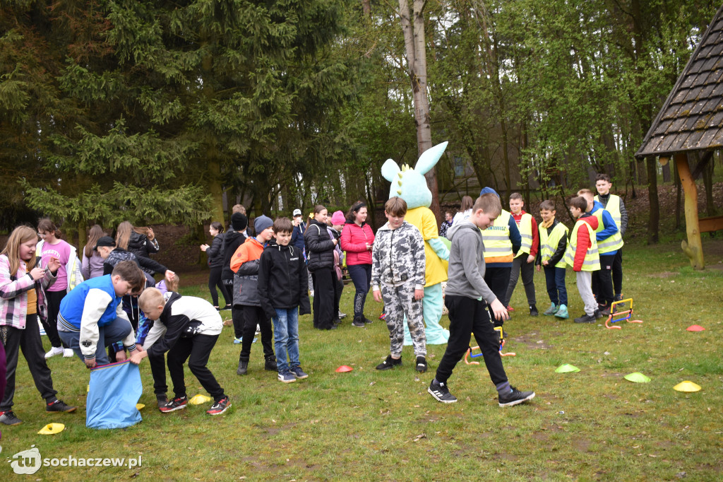 Akcja sprzątania lasów