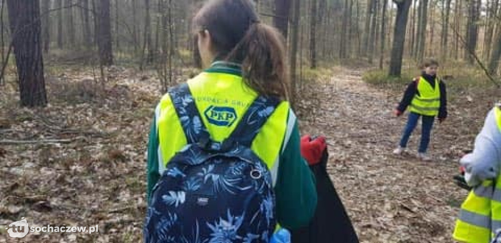 Akcja sprzątania lasów