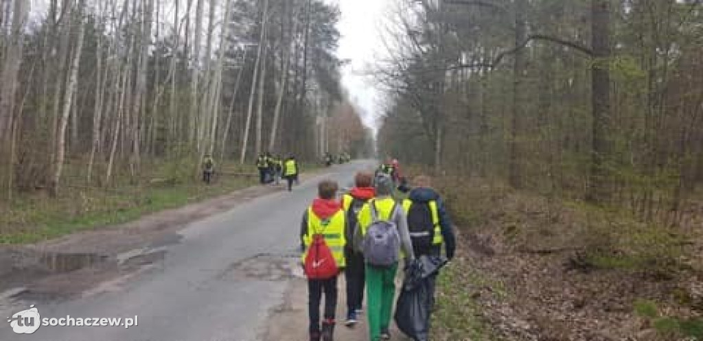 Akcja sprzątania lasów