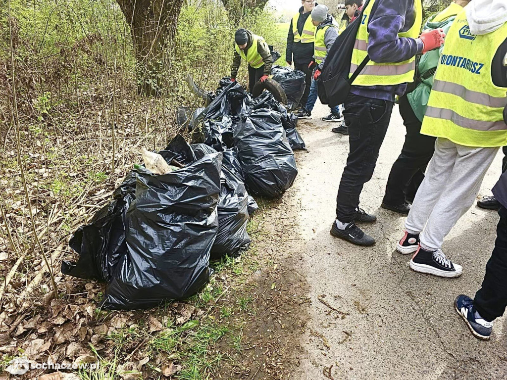 Akcja sprzątania lasów