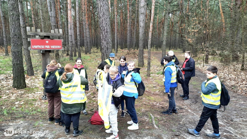 Akcja sprzątania lasów