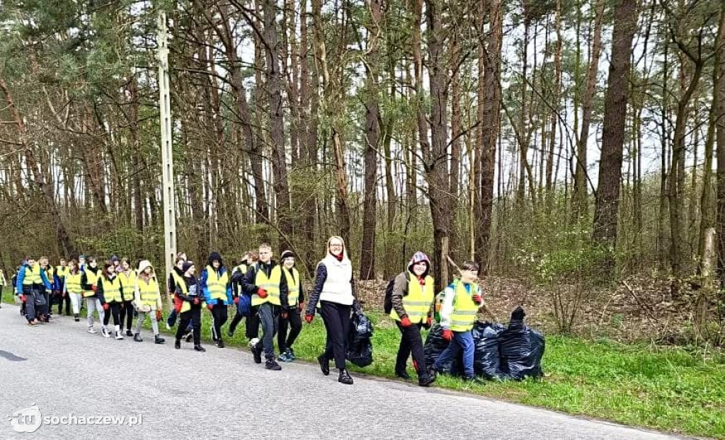 Akcja sprzątania lasów