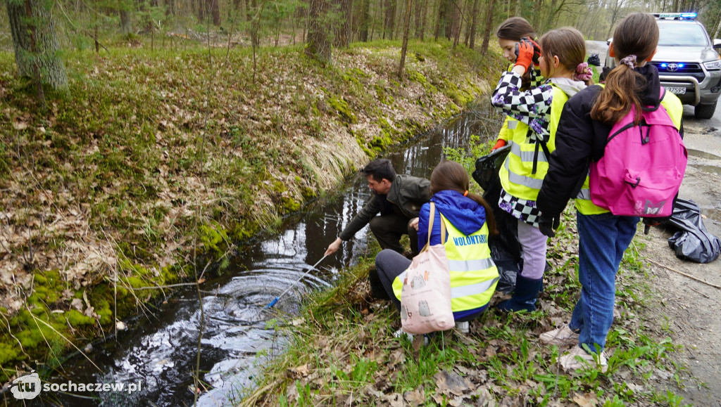 Akcja sprzątania lasów