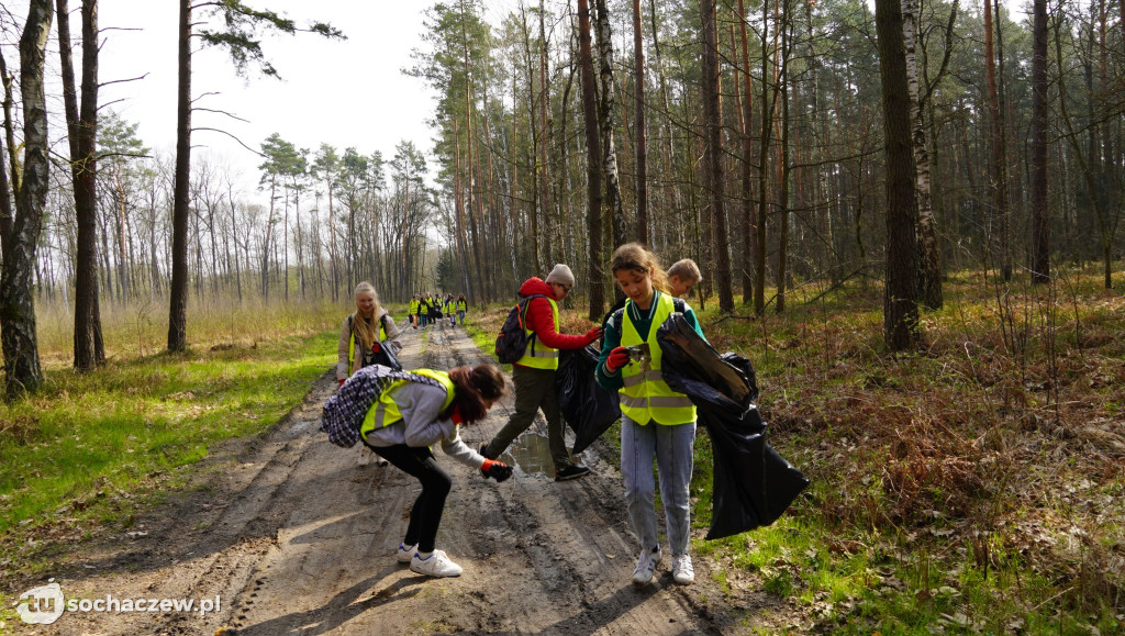 Akcja sprzątania lasów