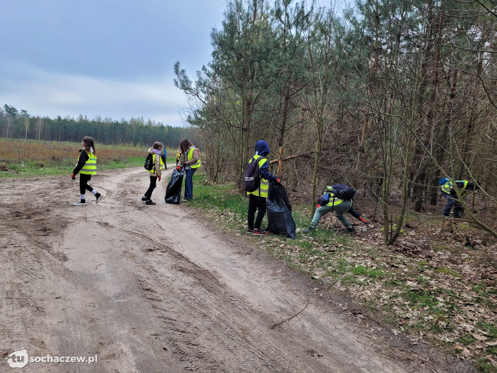 Akcja sprzątania lasów