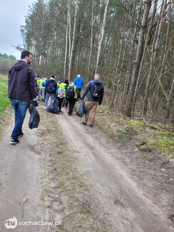 Akcja sprzątania lasów