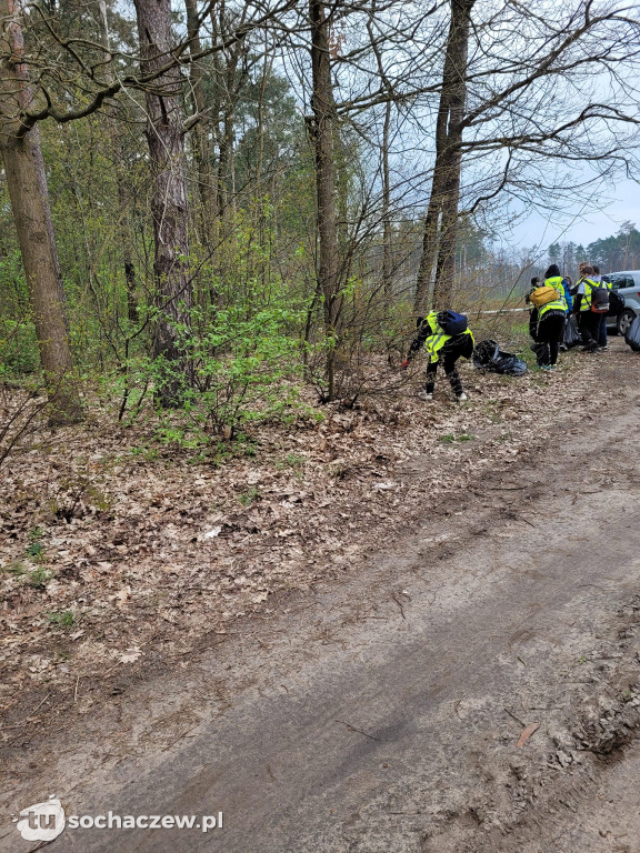 Akcja sprzątania lasów