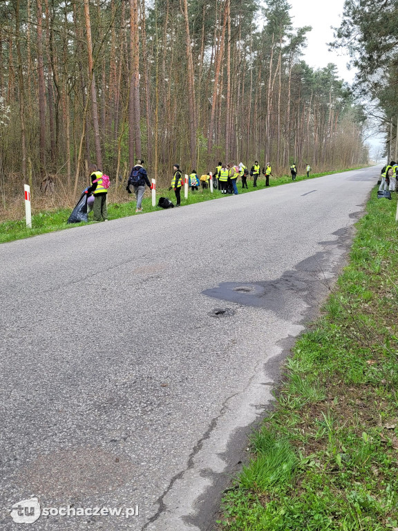Akcja sprzątania lasów