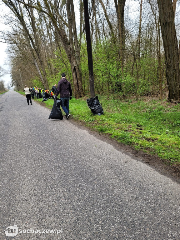 Akcja sprzątania lasów