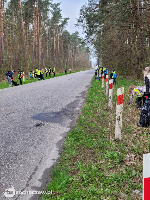 Akcja sprzątania lasów