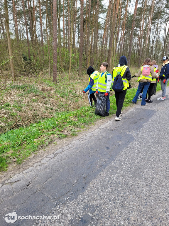 Akcja sprzątania lasów