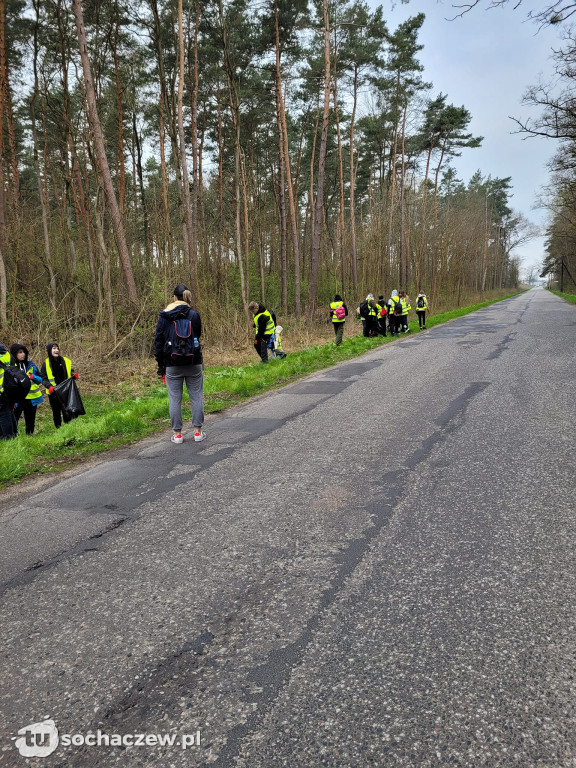 Akcja sprzątania lasów