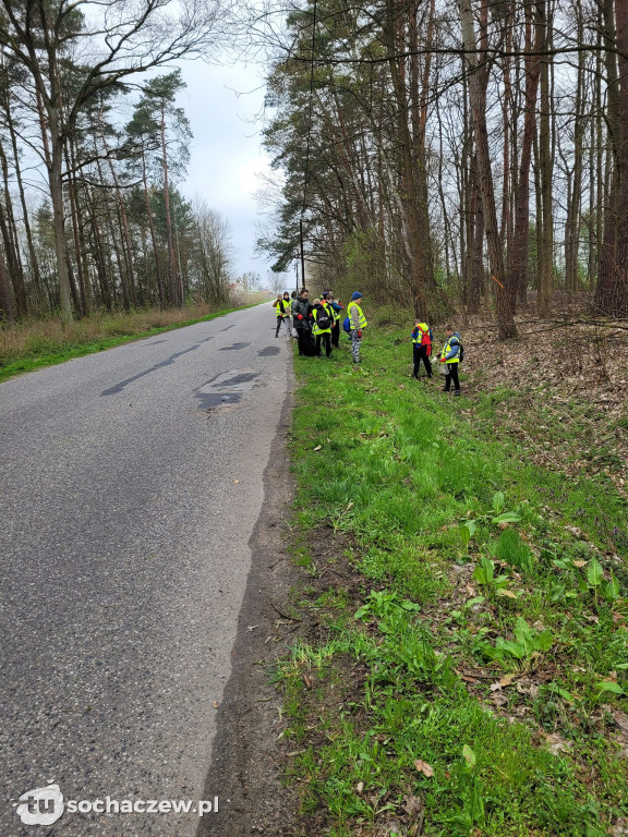 Akcja sprzątania lasów