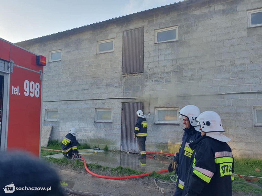 Pożar kurnika w Aleksandrowie