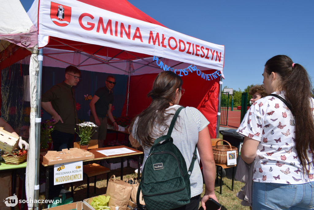 Ekologiczny piknik w Młodzieszynie