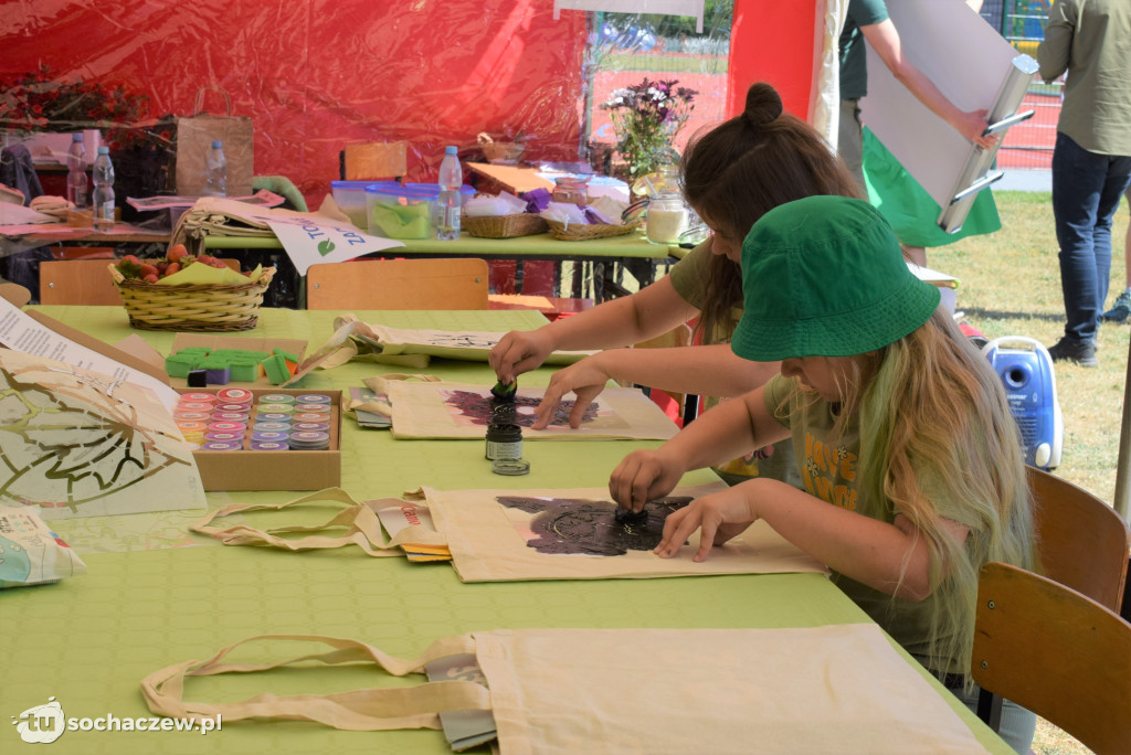 Ekologiczny piknik w Młodzieszynie