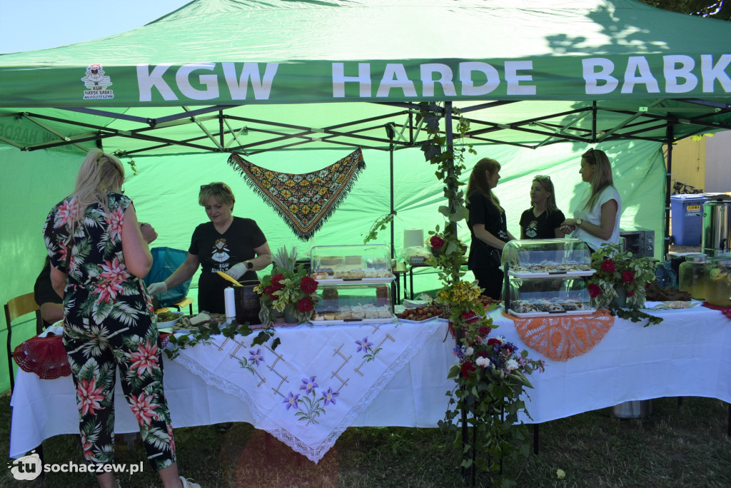 Ekologiczny piknik w Młodzieszynie