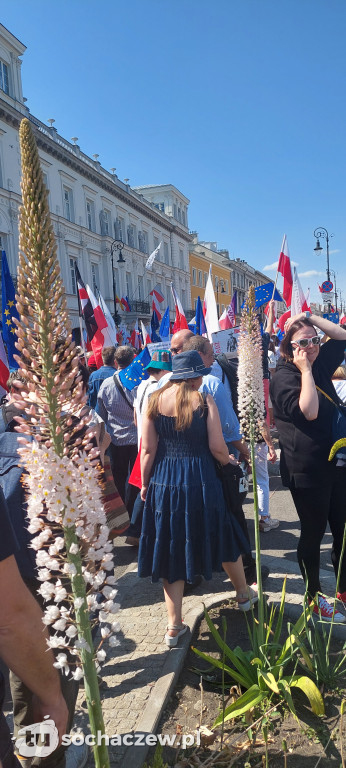 Sochaczew na marszu 4 czerwca w stolicy