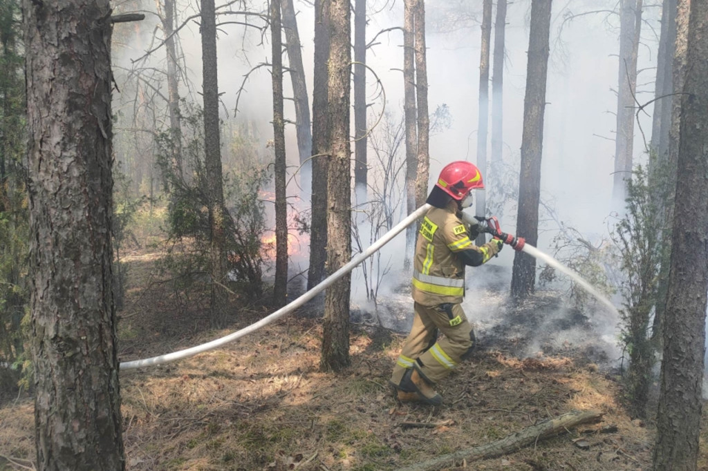 Pożar lasu w Konarach