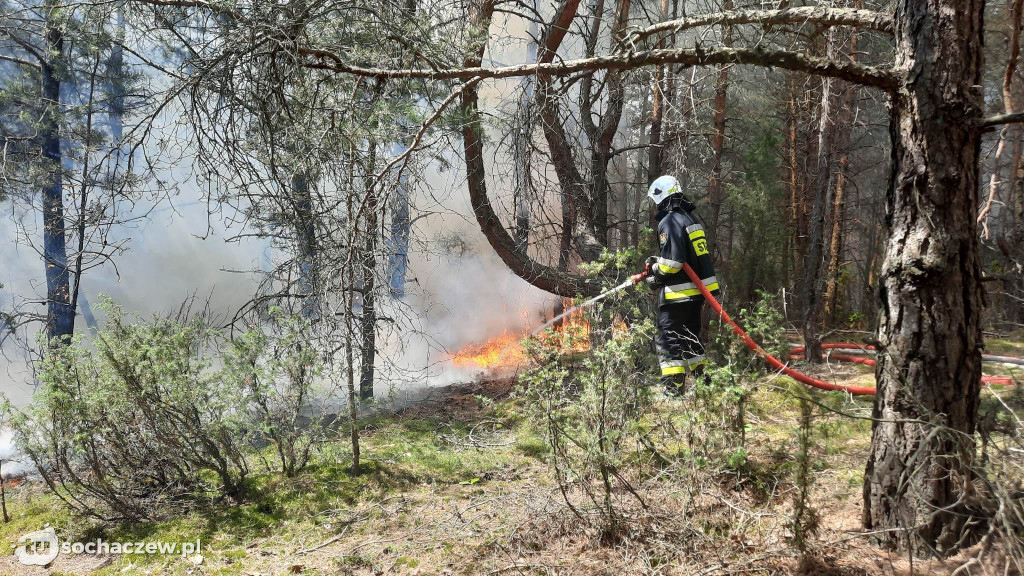 Pożar lasu w Konarach