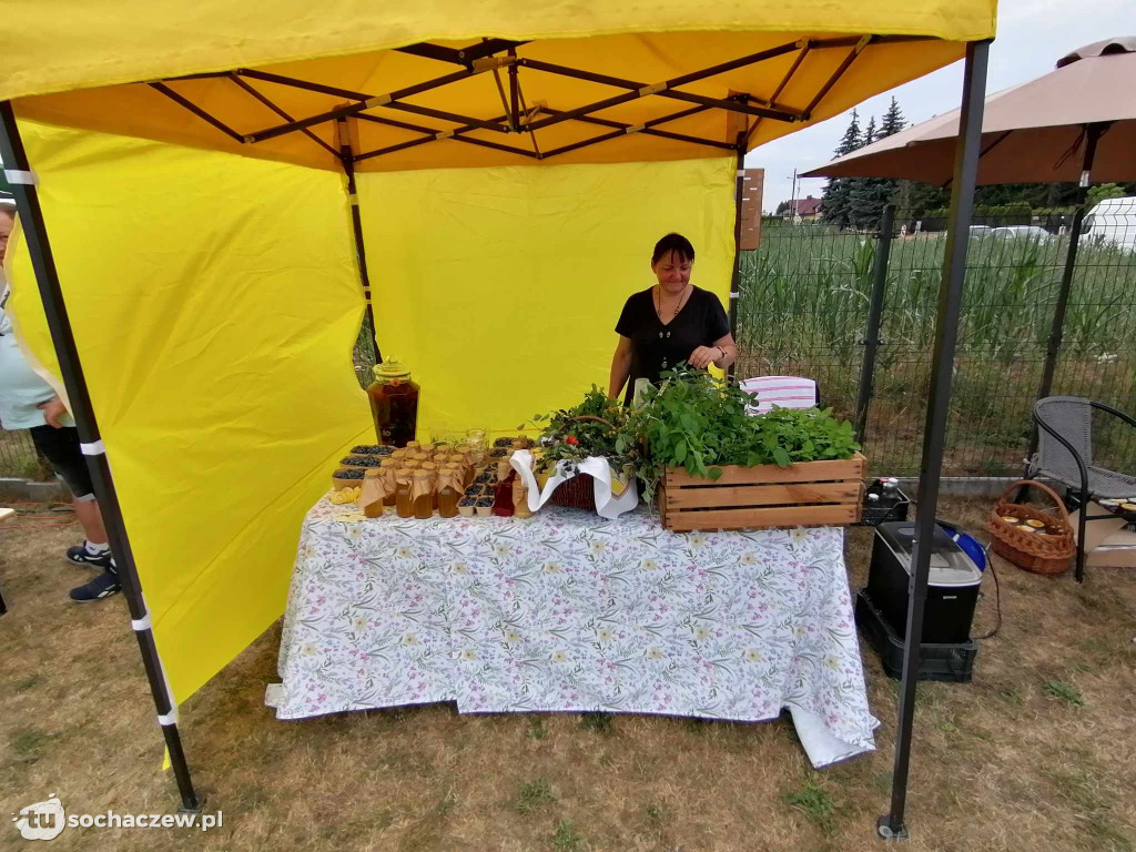 Piknik w Żdżarowie
