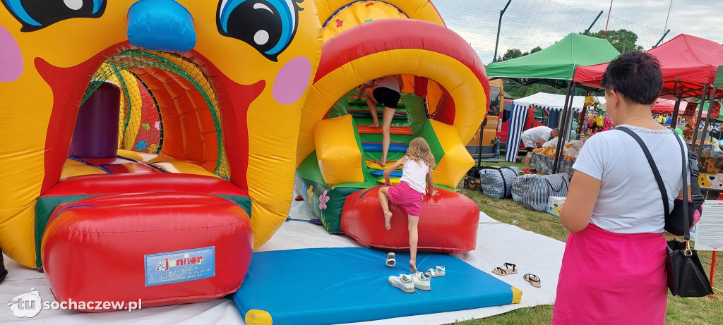Rodzinny Piknik Muzyczny w Rybnie