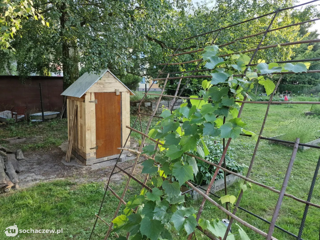 Ogródek społeczny „Kabaczek” w Boruszewie