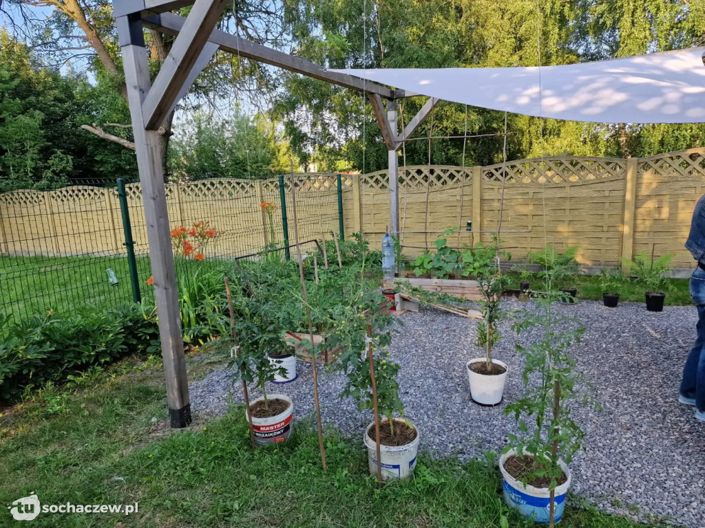 Ogródek społeczny „Kabaczek” w Boruszewie