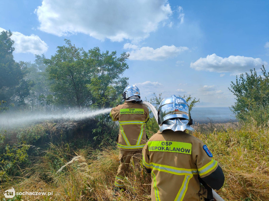 Pożar ścierniska w Szymanowie