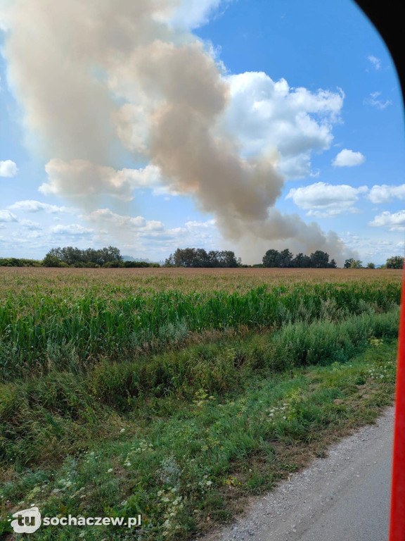 Pożar ścierniska w Szymanowie