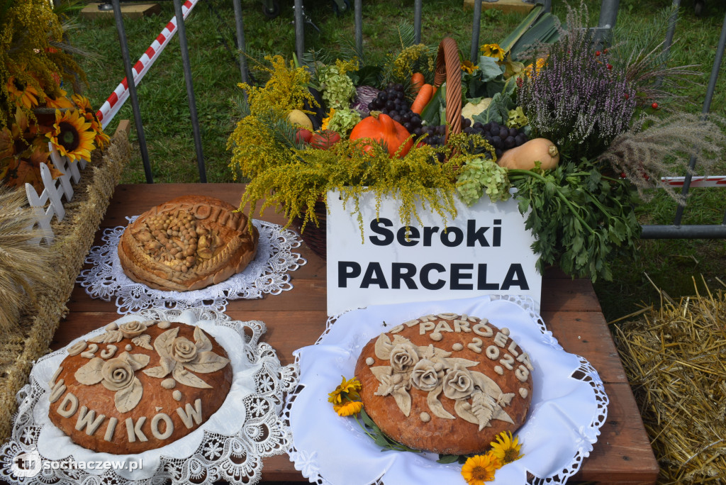Dożynki w Gminie Teresin 2023