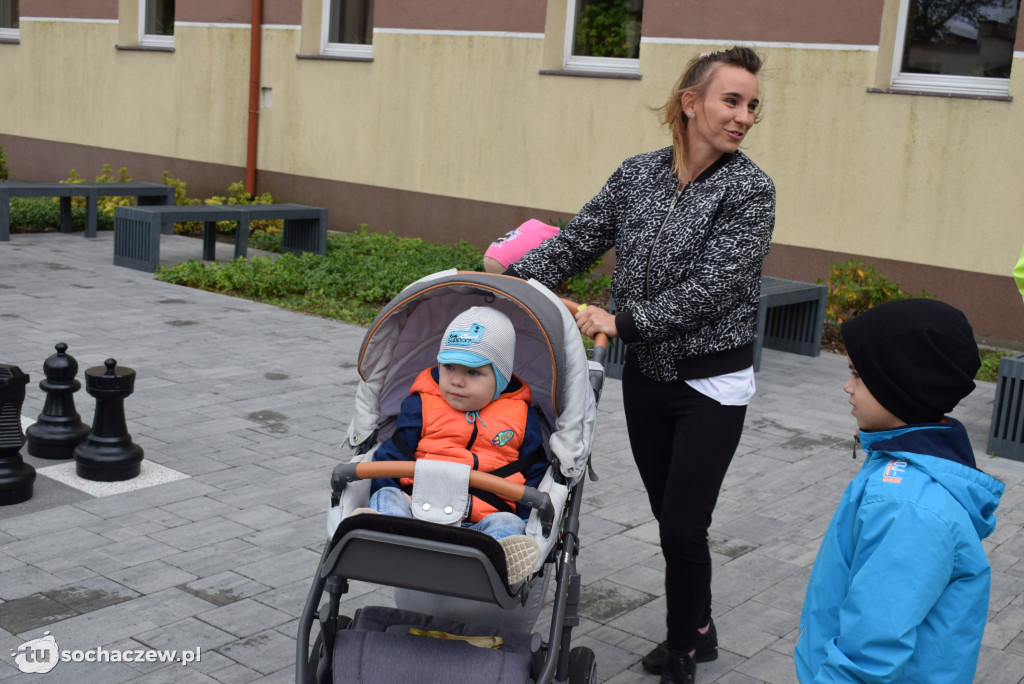 Zielony Sochaczew: pierwsza taka akcja w mieście