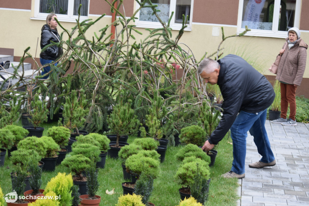 Zielony Sochaczew: pierwsza taka akcja w mieście