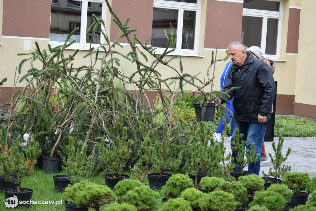 Zielony Sochaczew: pierwsza taka akcja w mieście